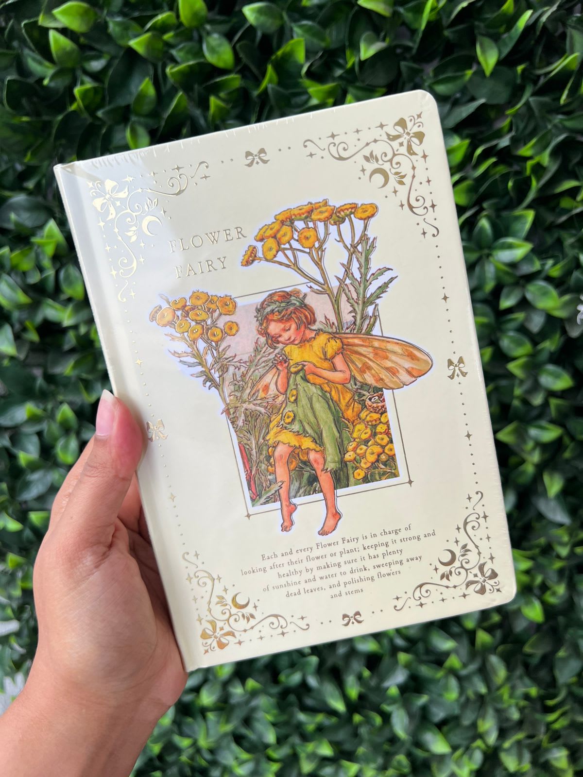 Imagen principal del producto