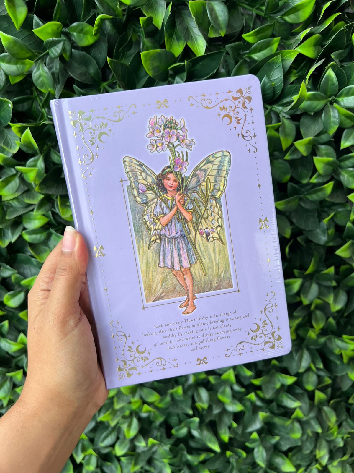 Imagen principal del producto