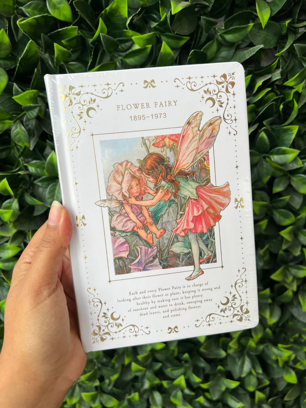 Imagen principal del producto