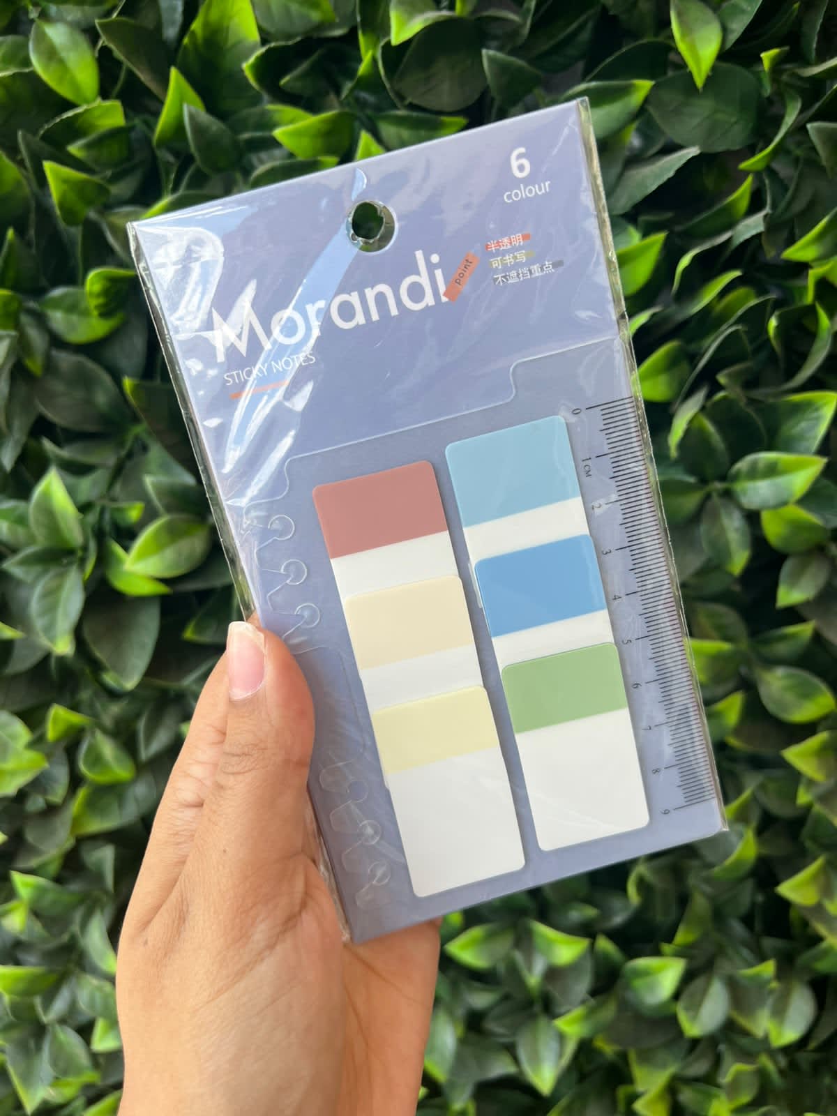 Banderitas Morandi gruesa
