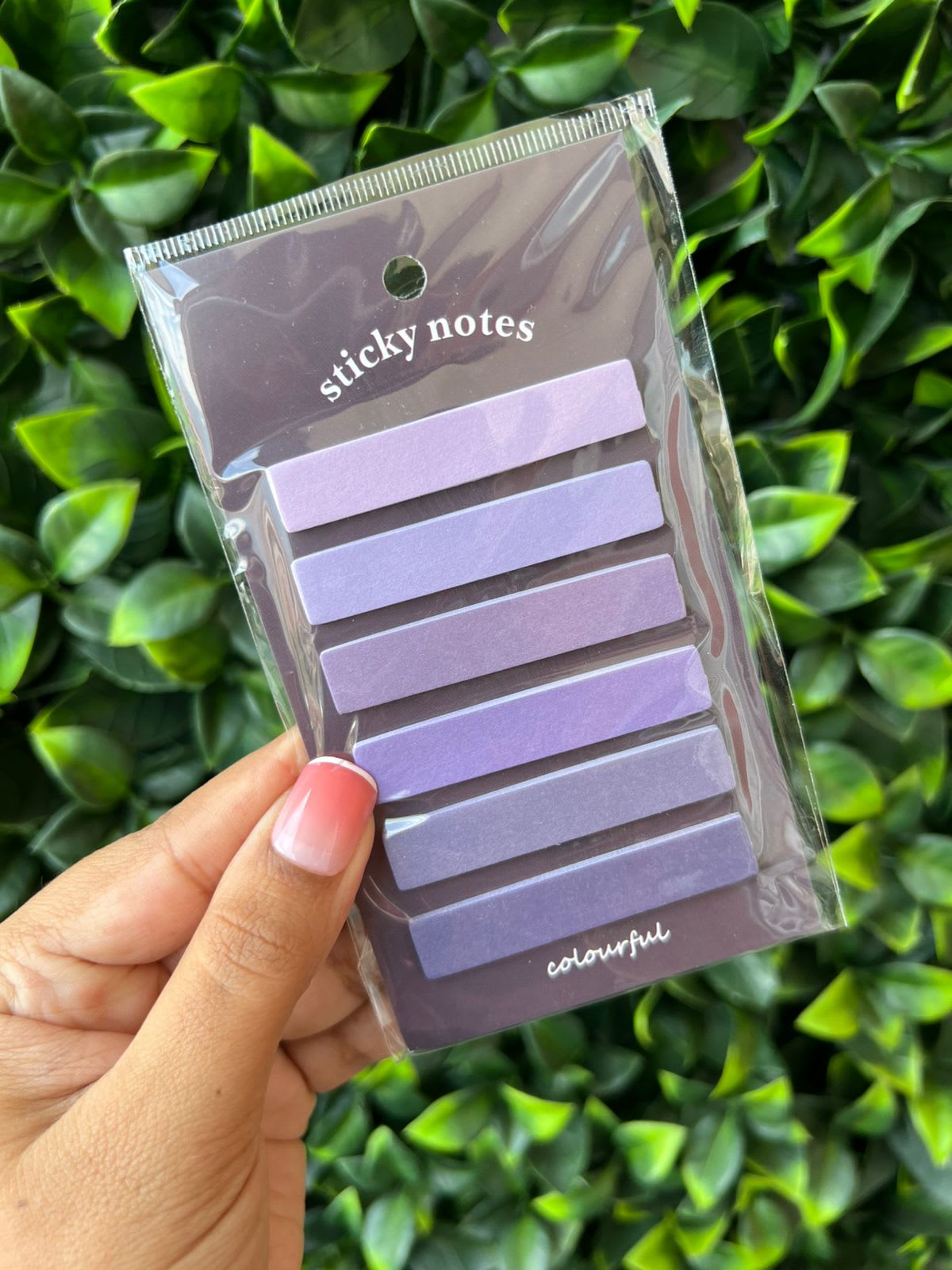 Banderitas Colourful morado