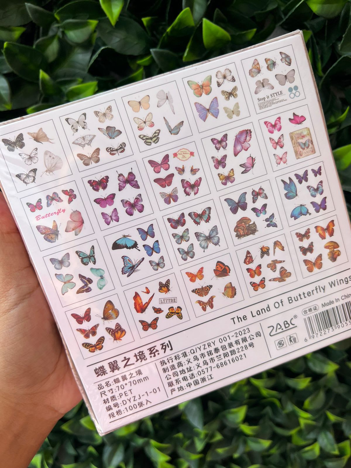 Caja stickers "The land of butterfly wings"