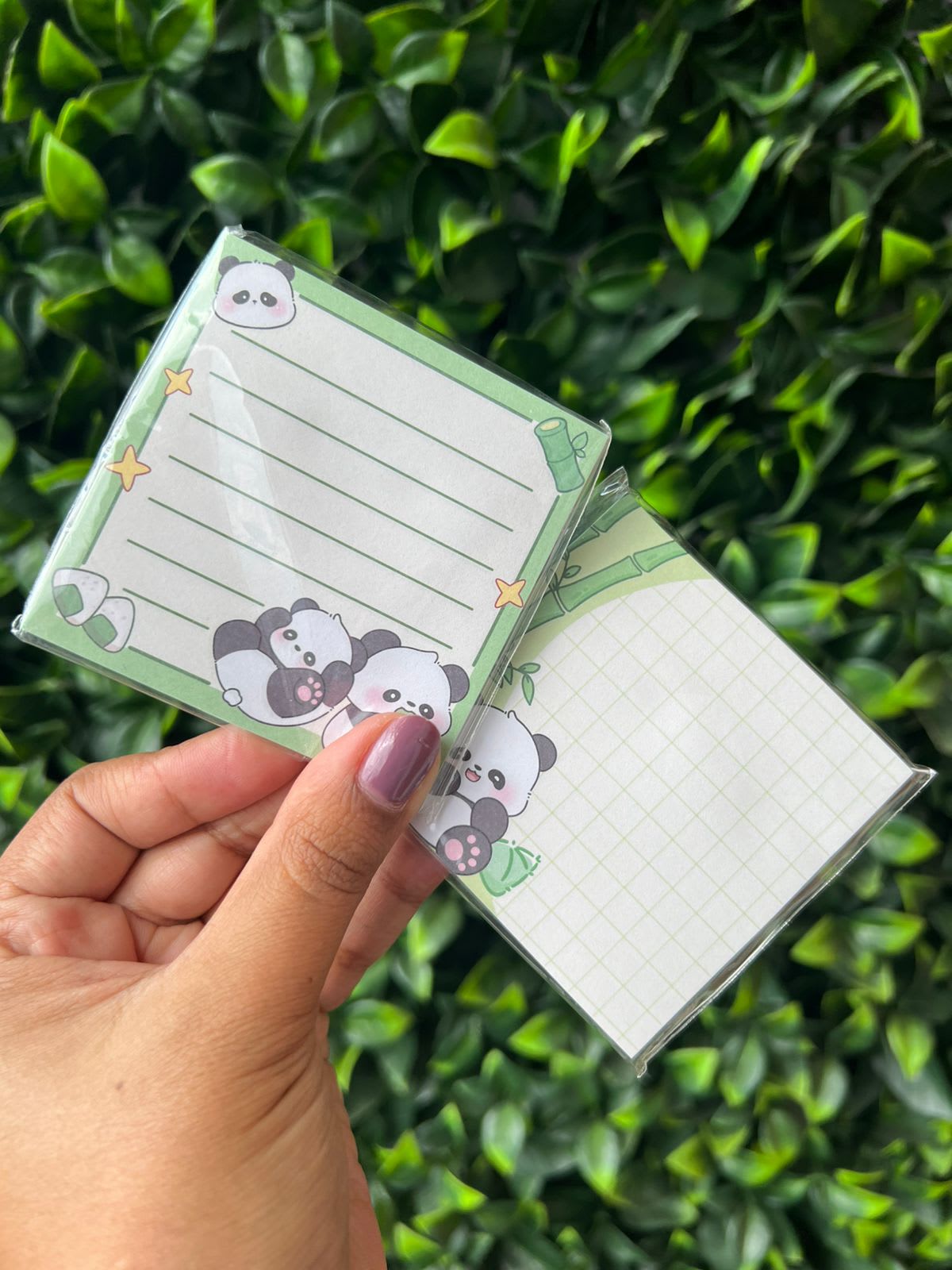 Notas Pandita glotones