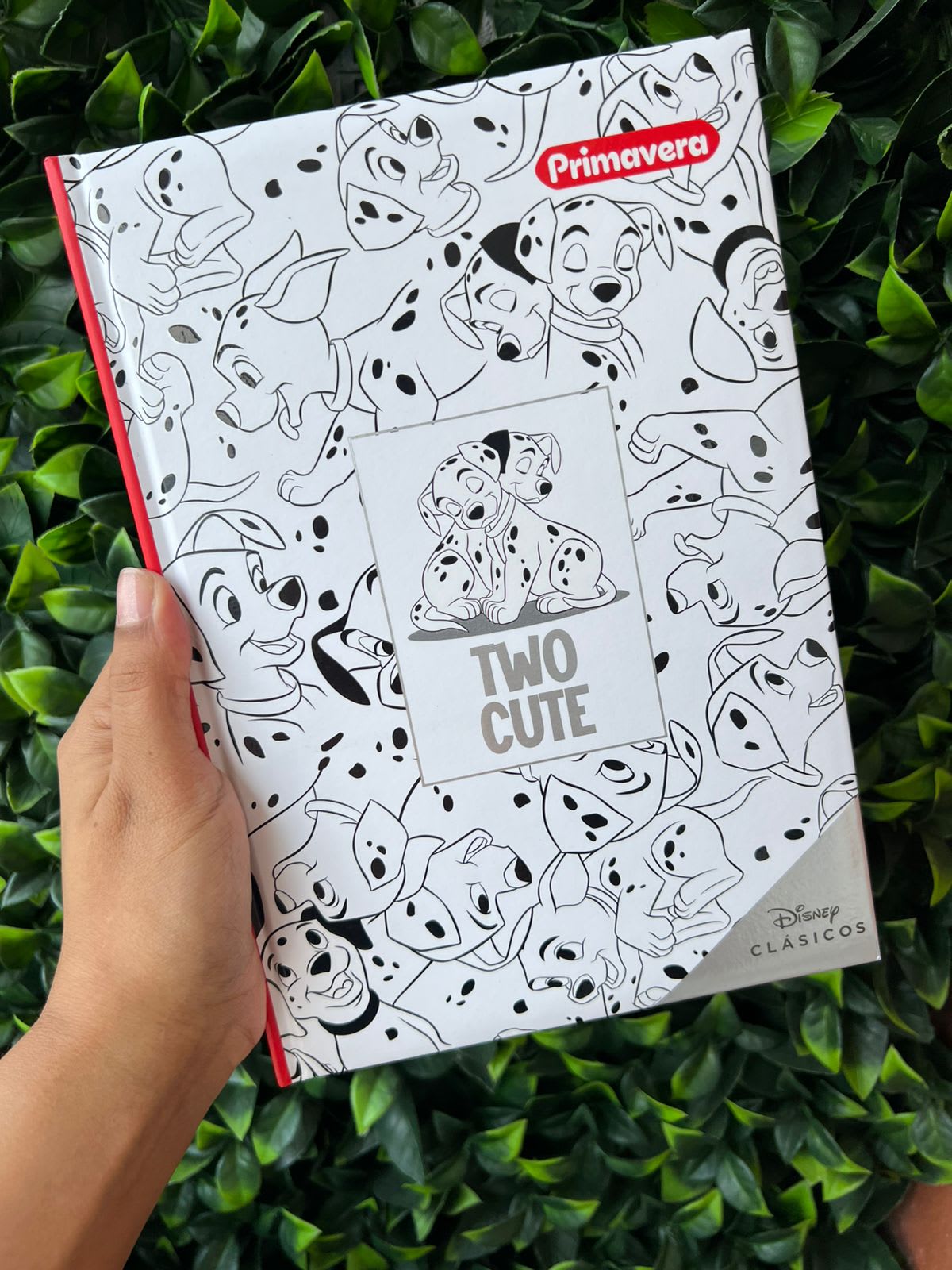 Cuaderno 5 materias cosido - DISNEY CLÁSICOS
