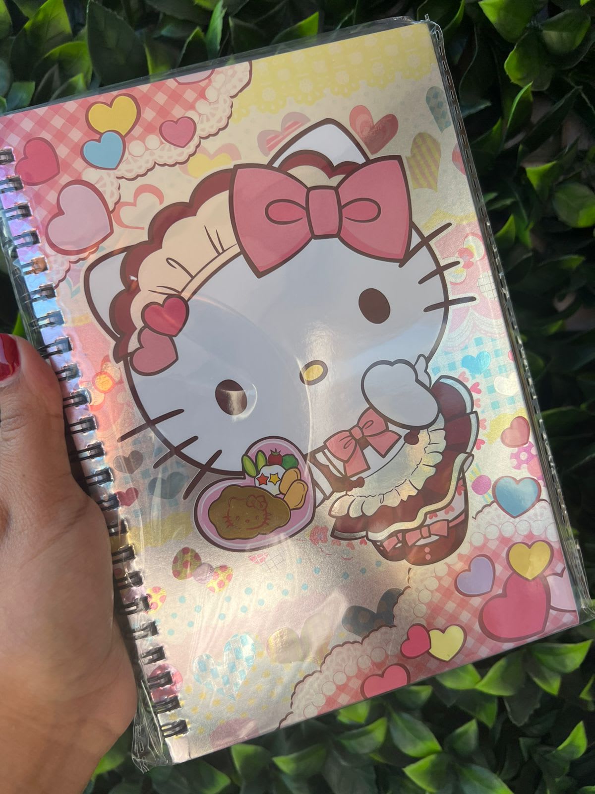 Cuadernos Hello Kitty Rosa pastel