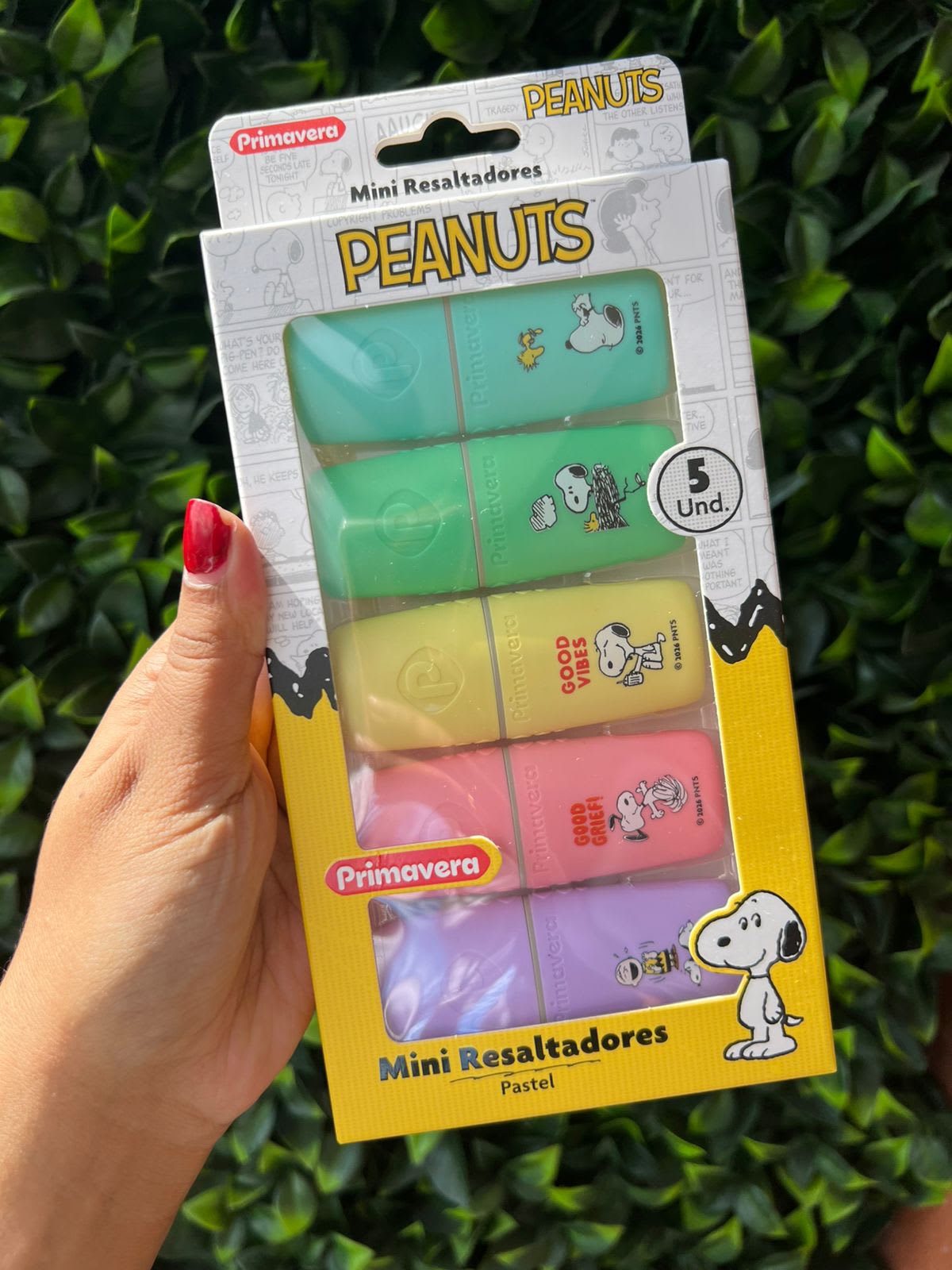 Set deresaltadores Snoopy  