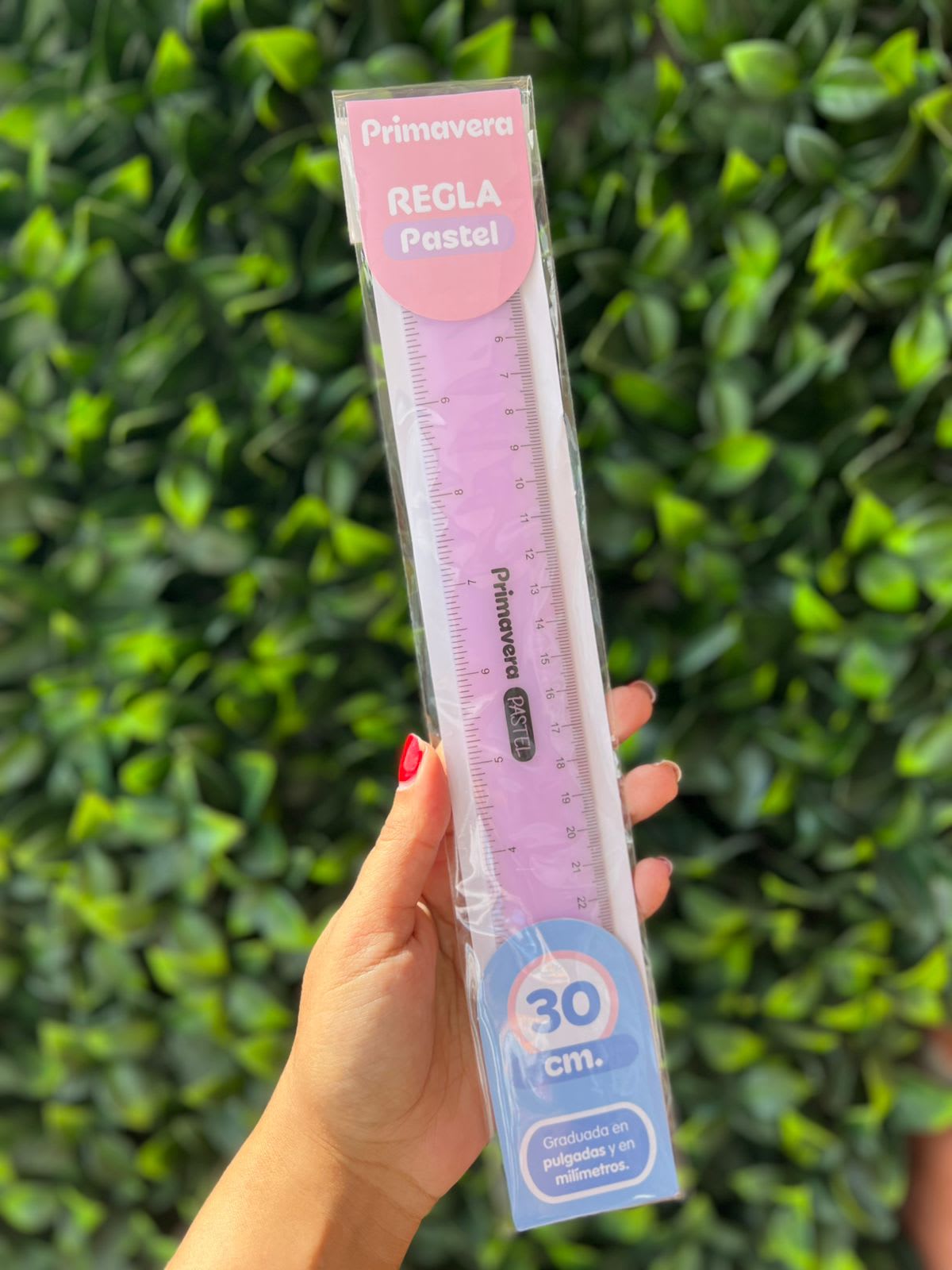 Regla 30cm pastel