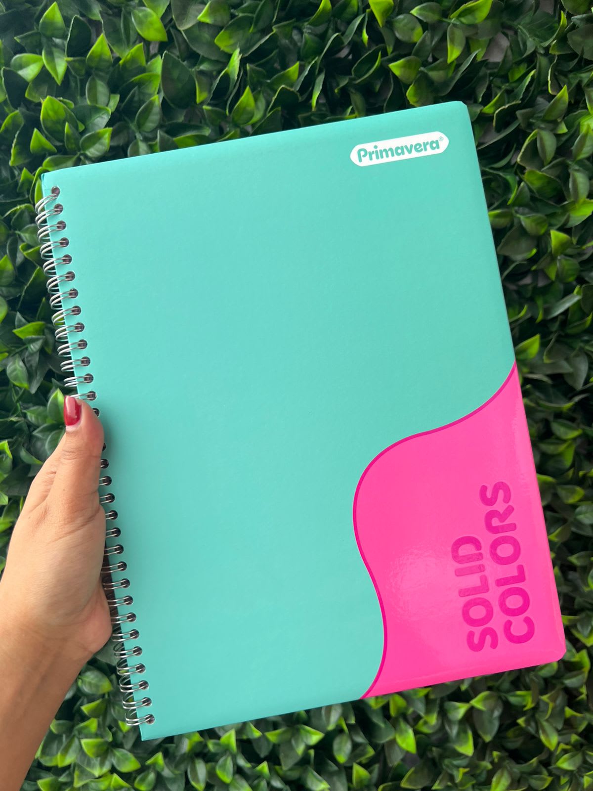 Cuaderno argollado rayado 80 hojas SOLID