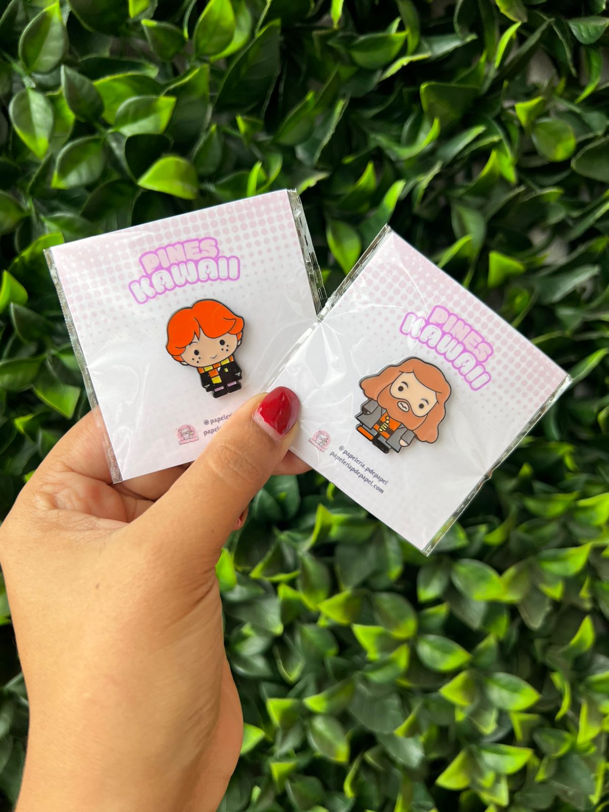 Pin Harry Potter
