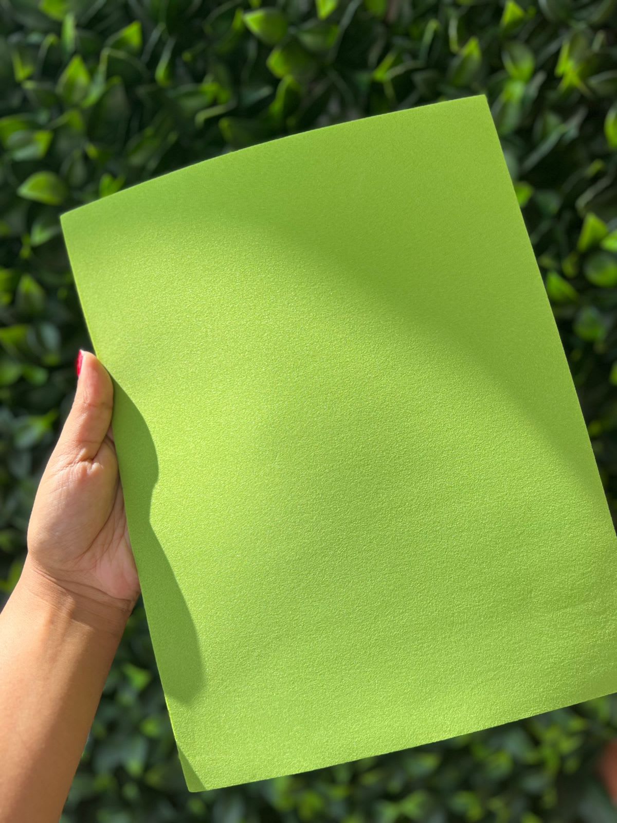 Foami 1/8 verde