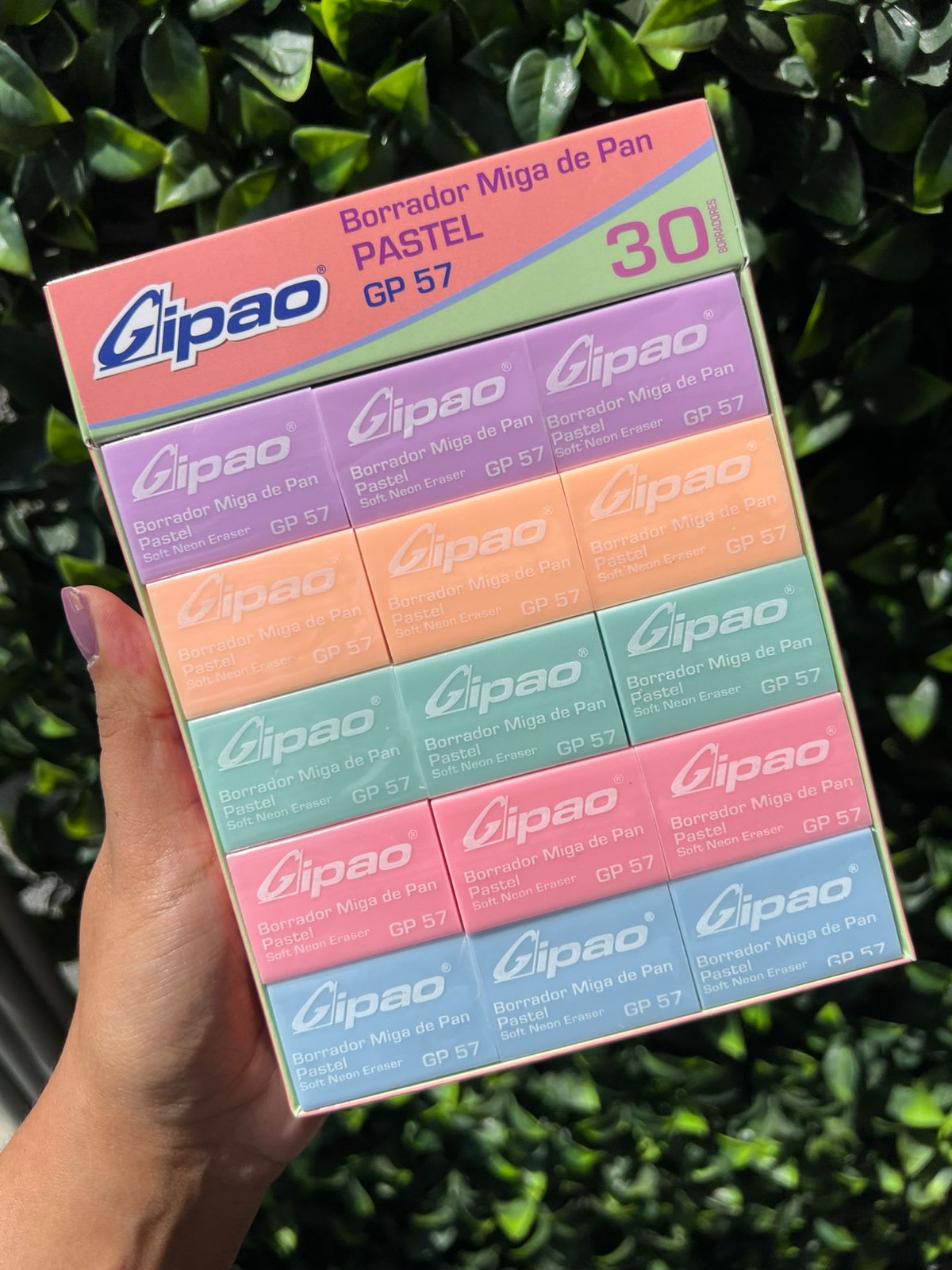 Borrador GIPAO pastel x unidad