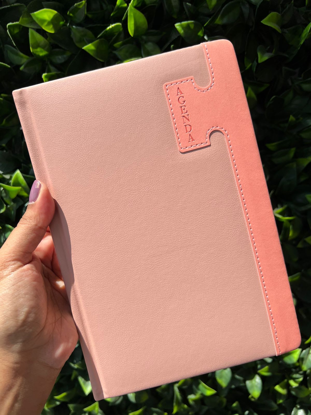 Agenda Clásica Palo de rosa