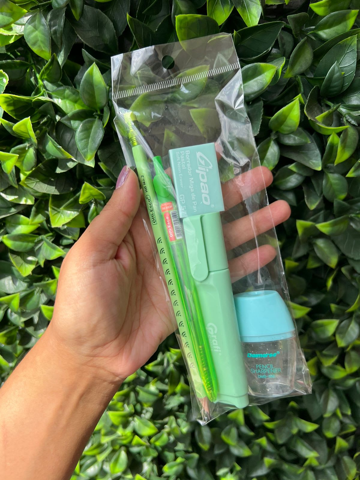 Kit Escolar Verde pastel