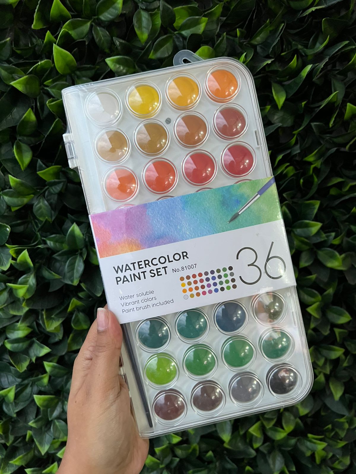 Set de acuarelas x36