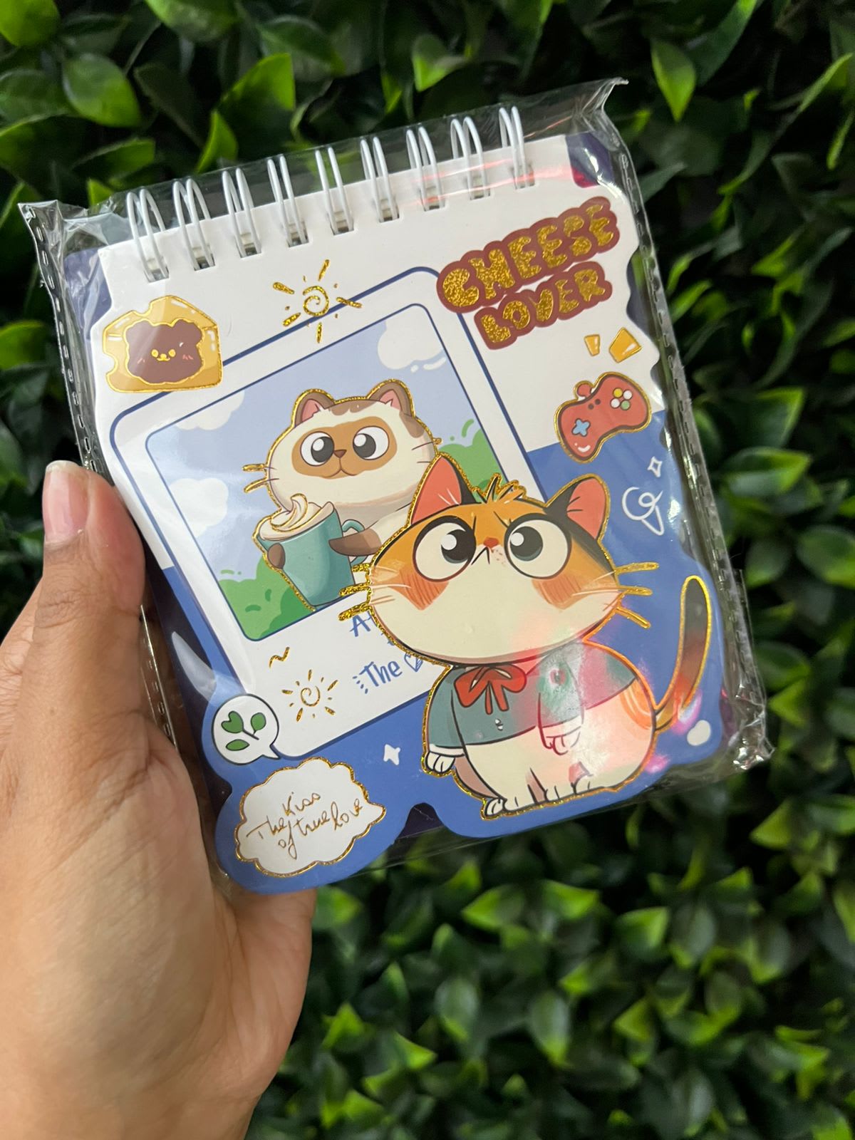 Libretas Gatito Azul XS-P