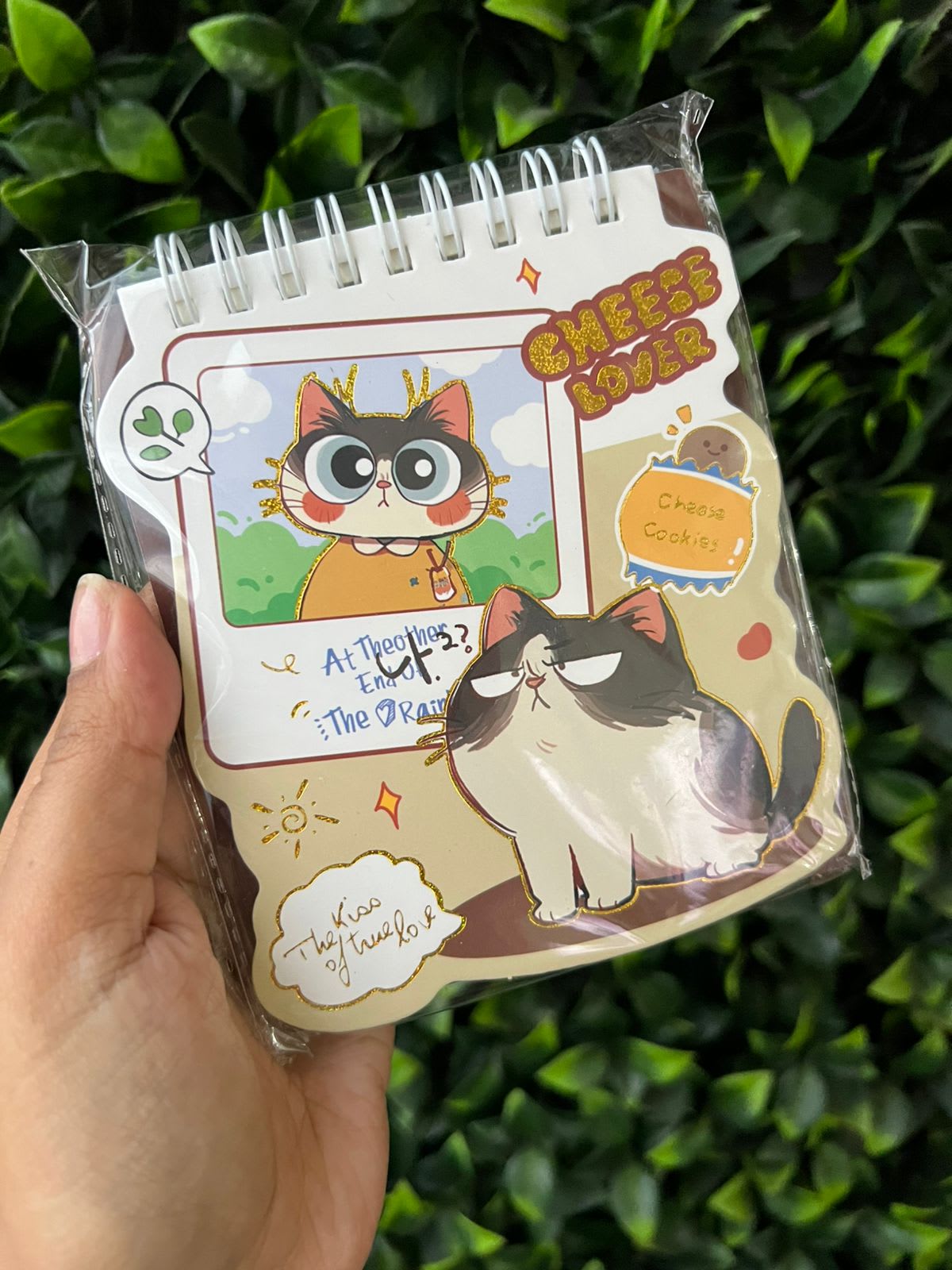 Libretas Gatito Crema XS-P