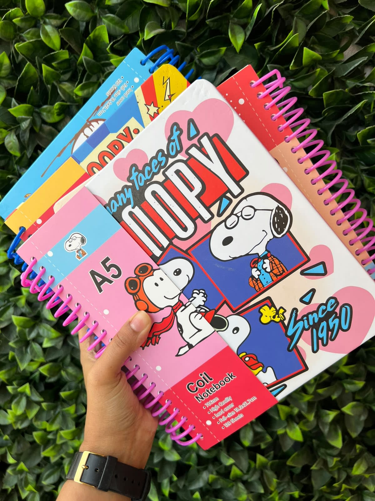 Cuaderno 5 materias Snoopy A5 argollado
