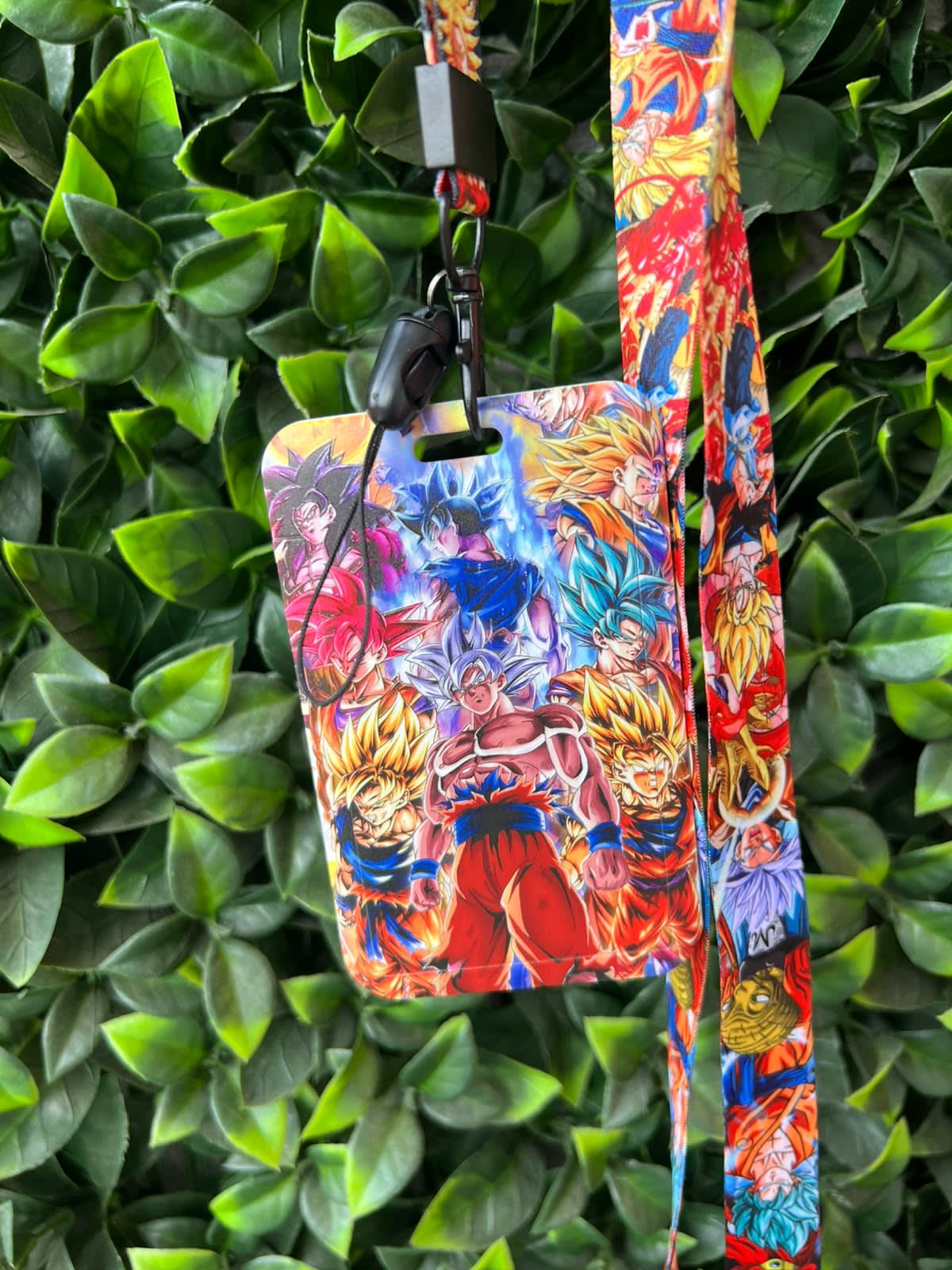 Portacarnet Dragon Ball