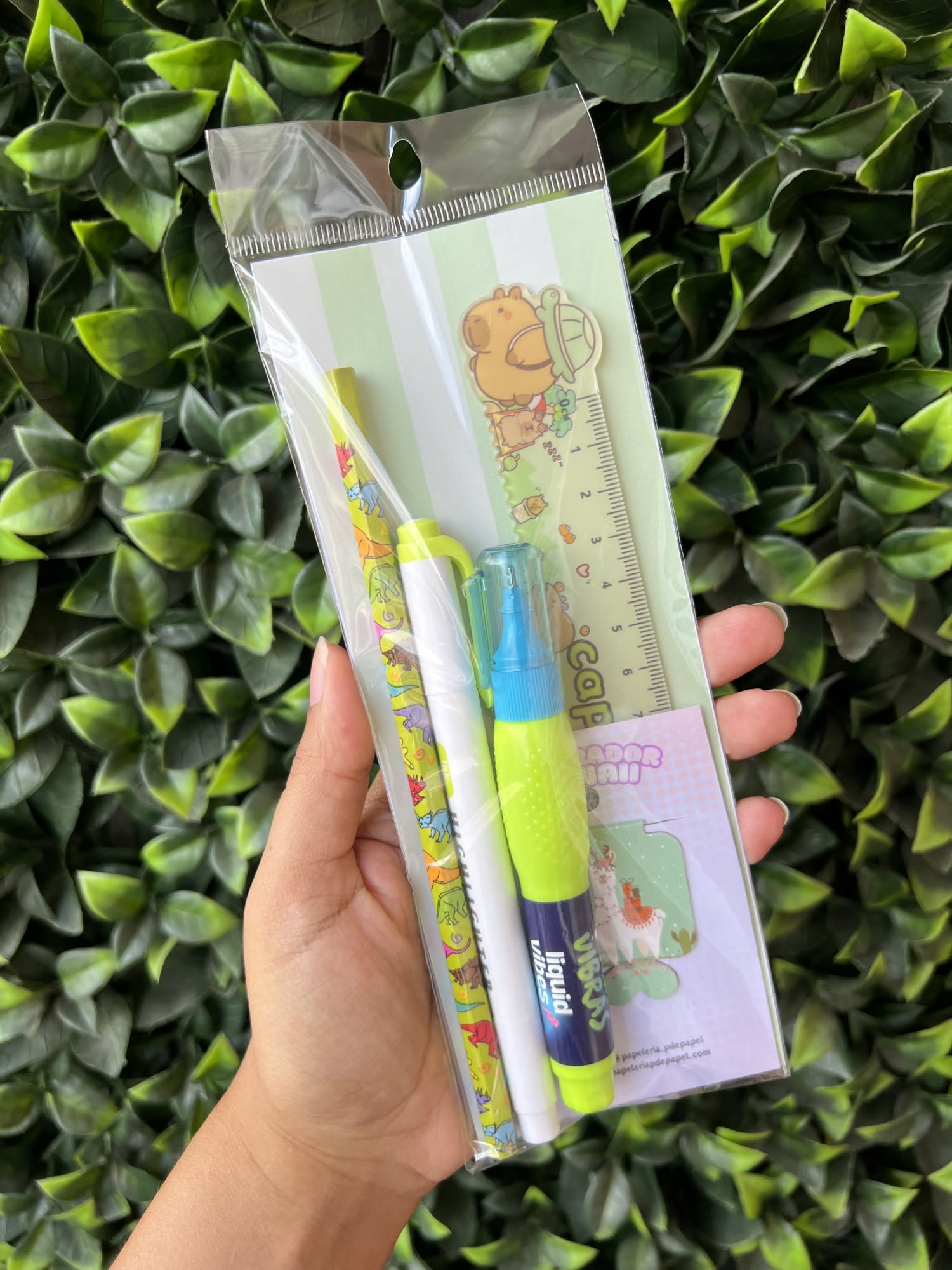 Kit kawaii Verde x 5 productos