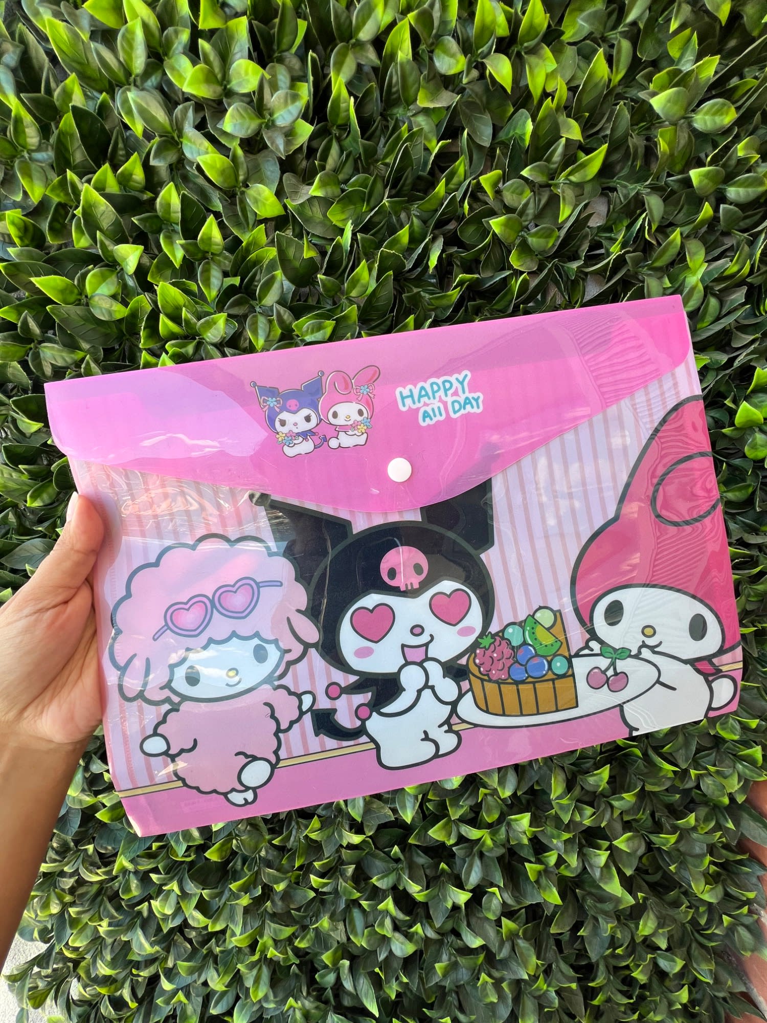 Carpeta plástica Sanrio