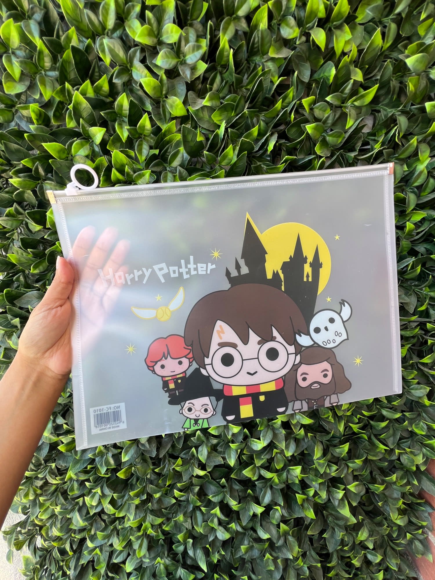 Carpeta hermética Oficio Harry Potter