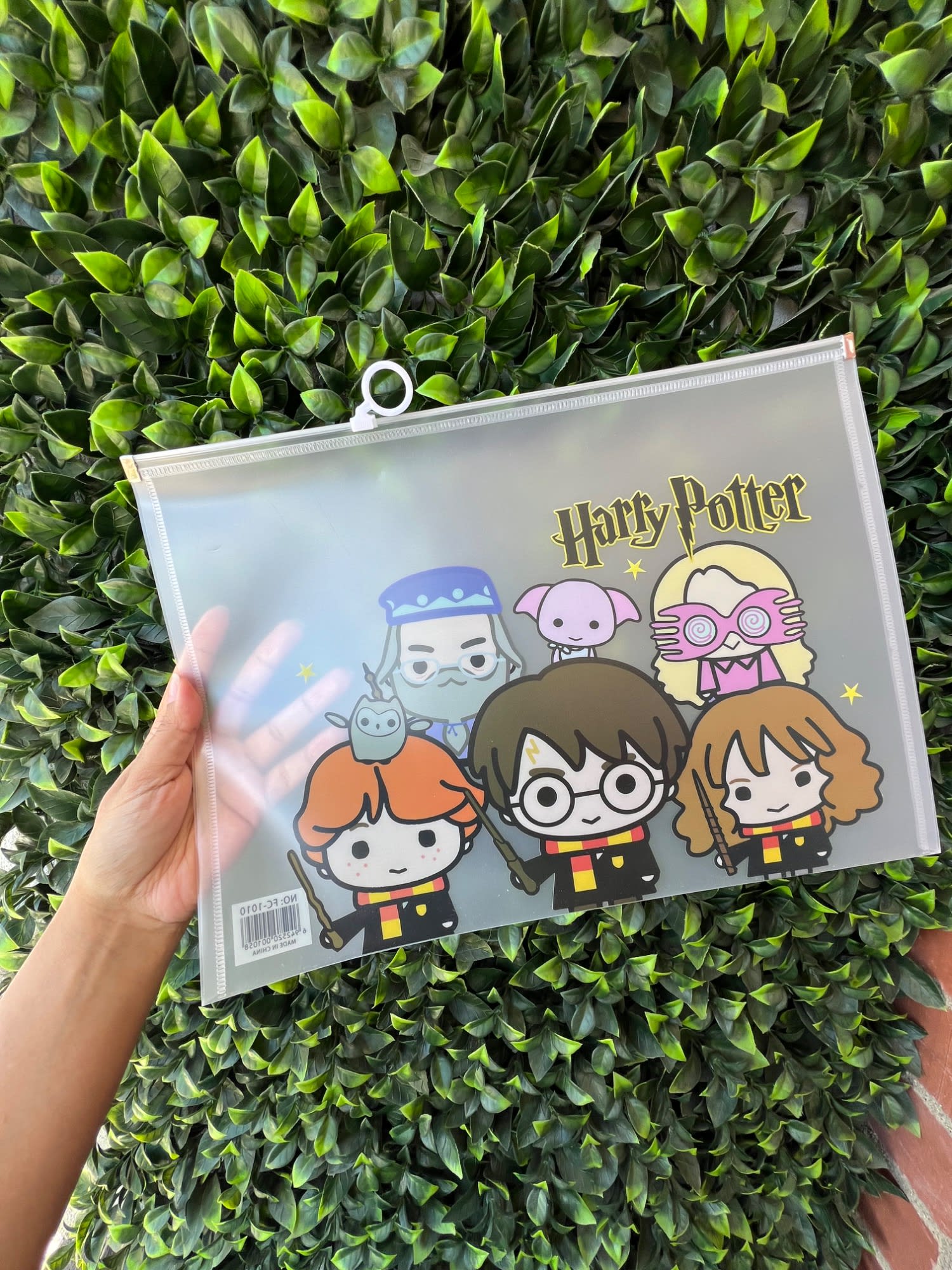 Carpeta hermética Oficio Harry Potter #1