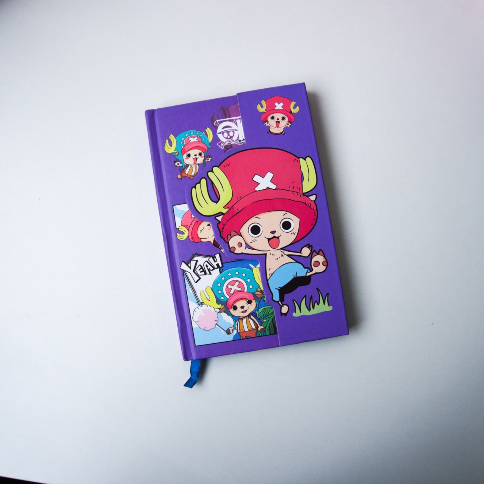 Agenda One Piece