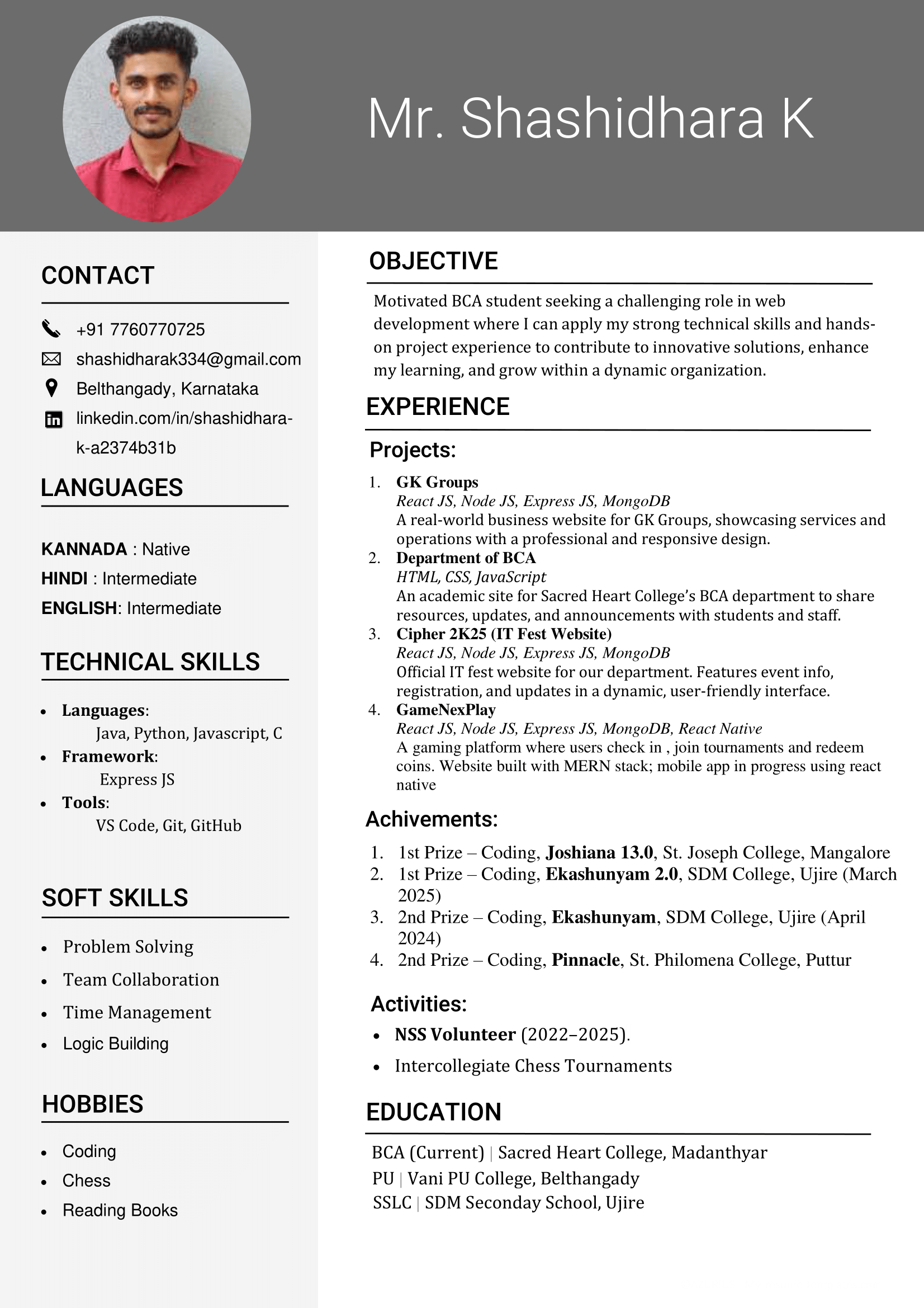 Professional Resume