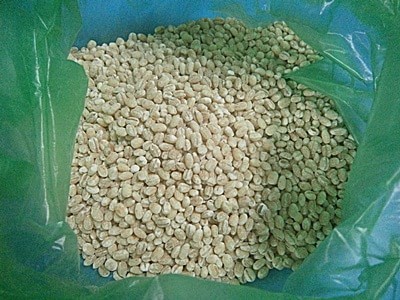 barli / barley