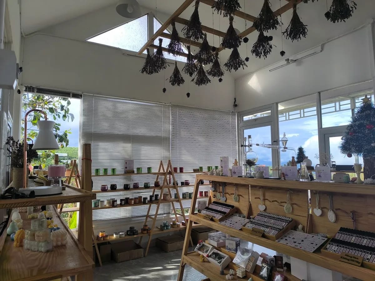 Nông Trại Hoa Tinh Dầu Đà Lạt, Nến Thơm - Khu Du Lịch Check In Săn Mây Jala Rose