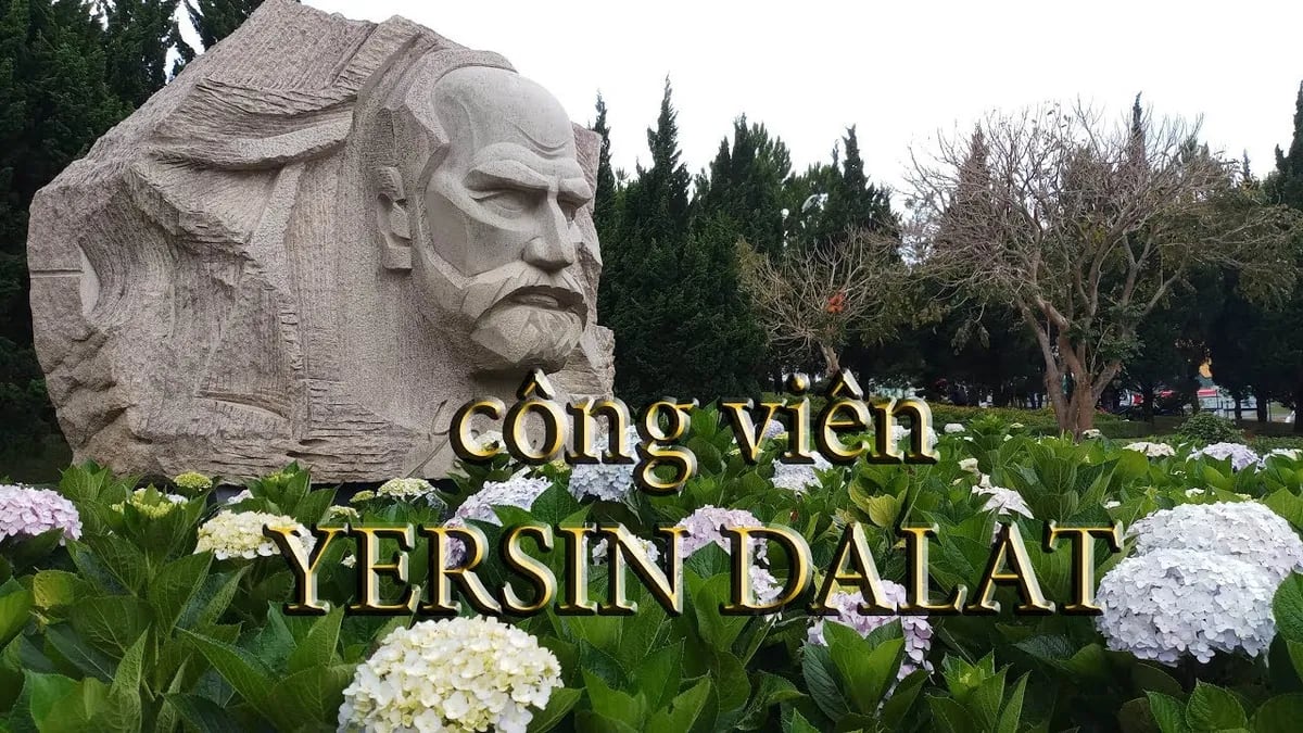 Công Viên Yersin