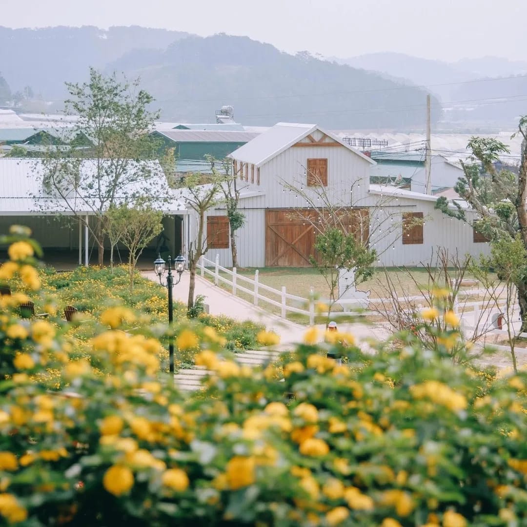 Nông Trại Cún Puppy Farm