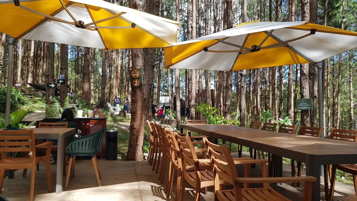Rừng Thông Mơ Farm & Bistro