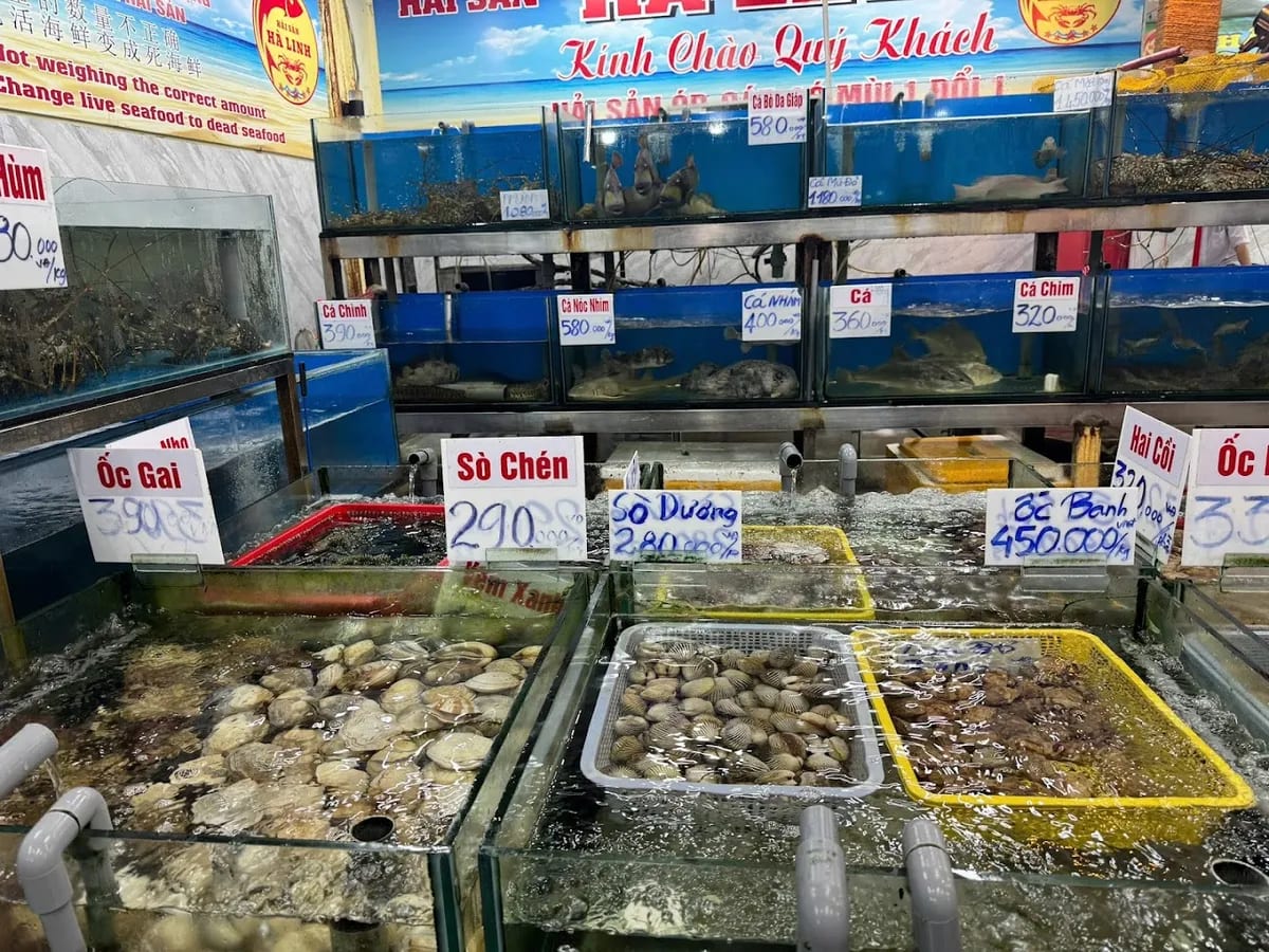 Nhà Hàng Hải Sản Hà Linh - 34 Trần Phú