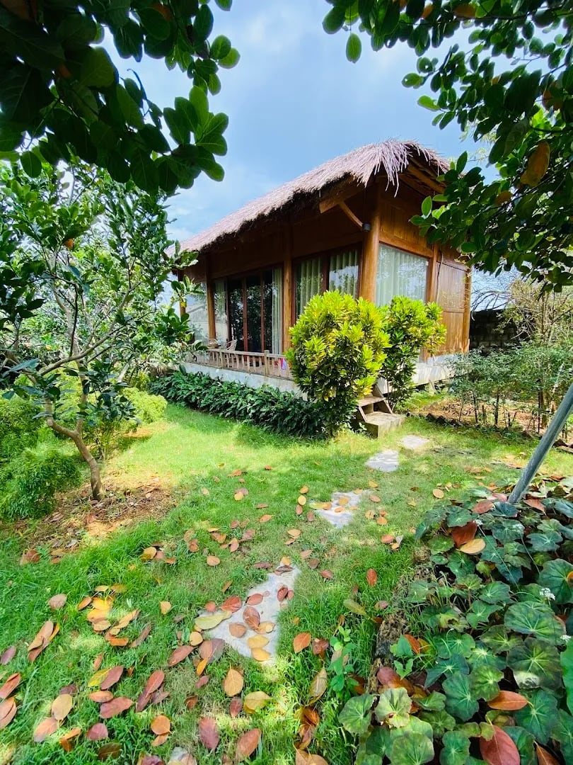 Byve Garden Homestay
