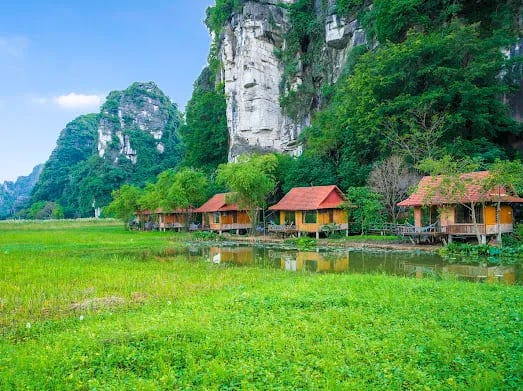 Lotus Field Homestay