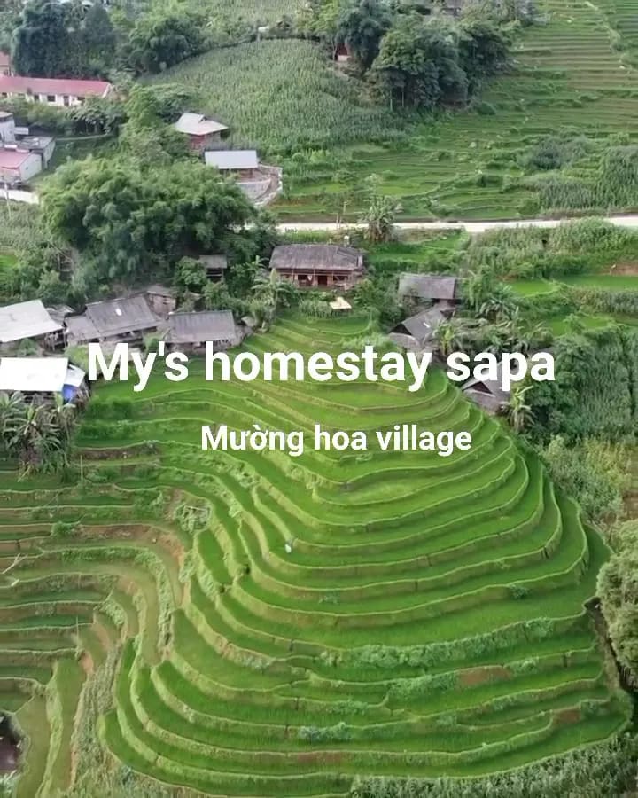 My's Homestay Sapa
