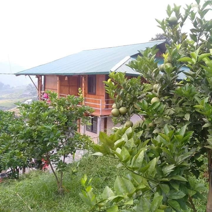Sapa Orange Homestay