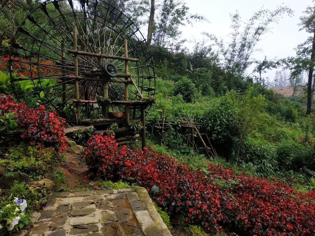 Vườn Hoa H'mông