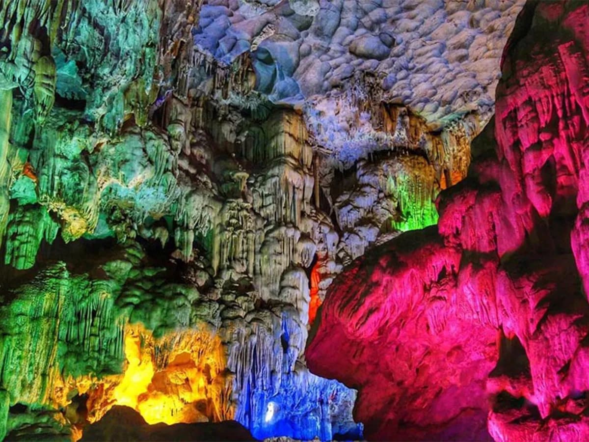 Hang Đầu Gỗ