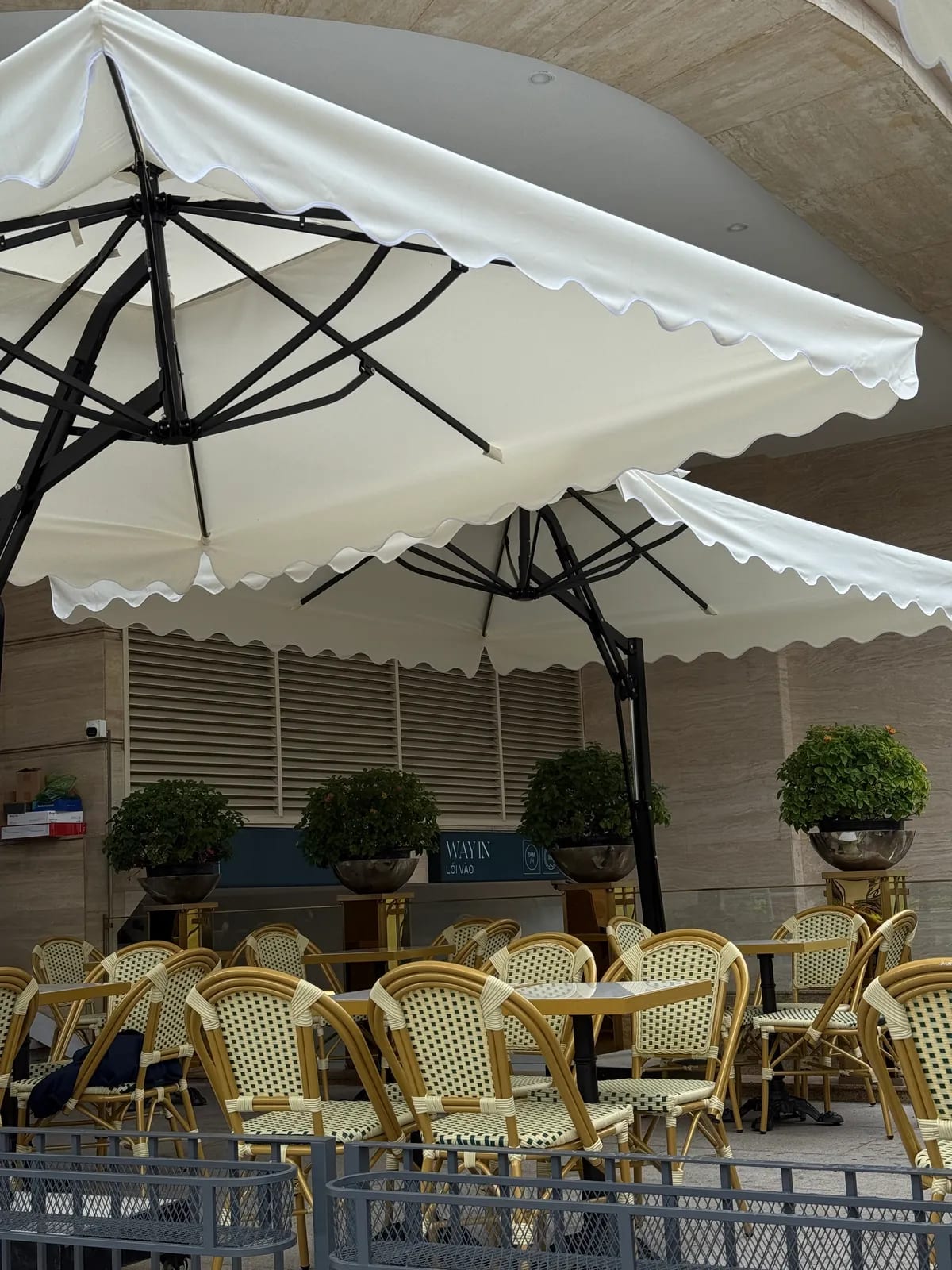 Café Carré