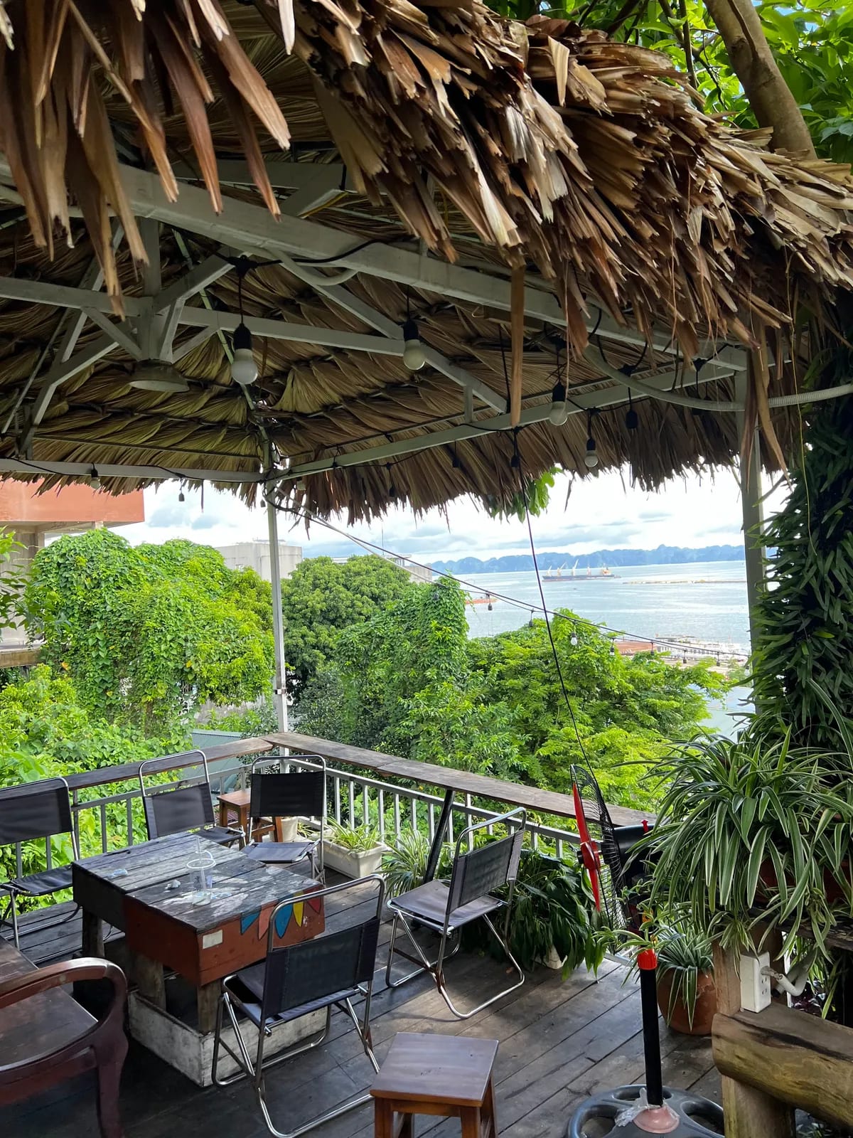 Wee. Sân Chill Giới Trẻ