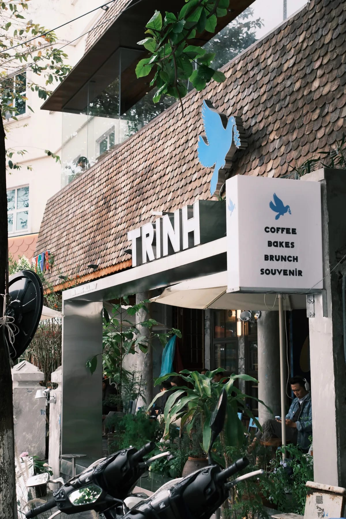 Trình cà phê - VTV8