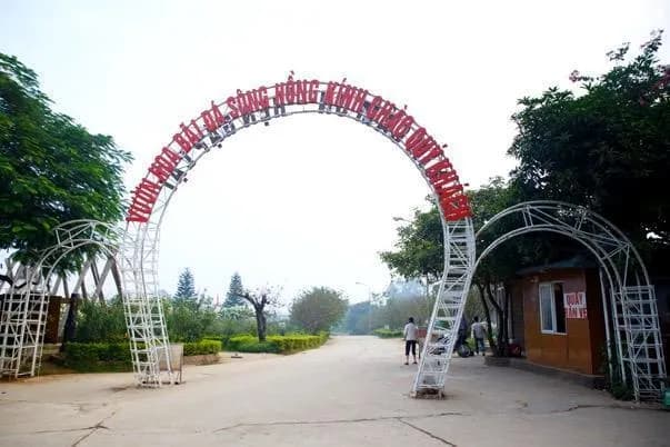 Bãi Đá Sông Hồng