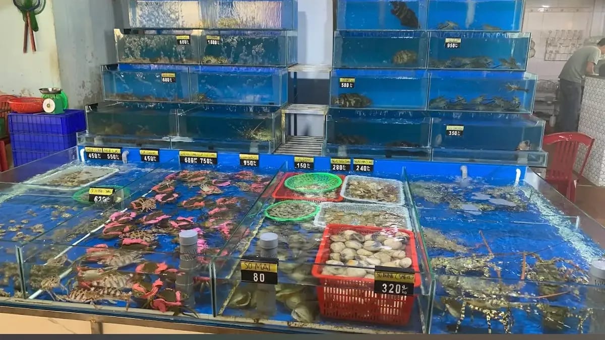 HƠN Seafood Restaurant Hội An