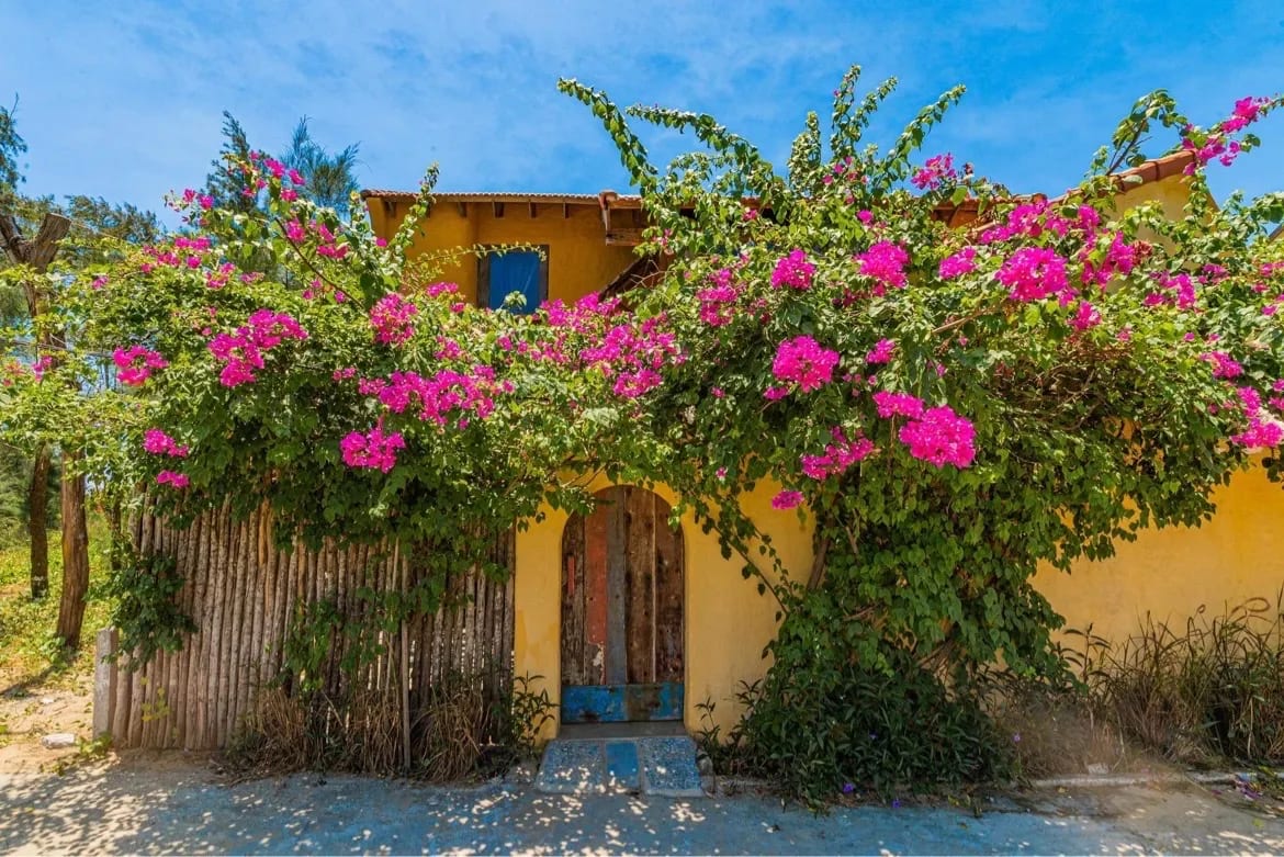 Flow House 3BR Beachfront An Bang Beach Hoi An by Beachside Boutique Homes