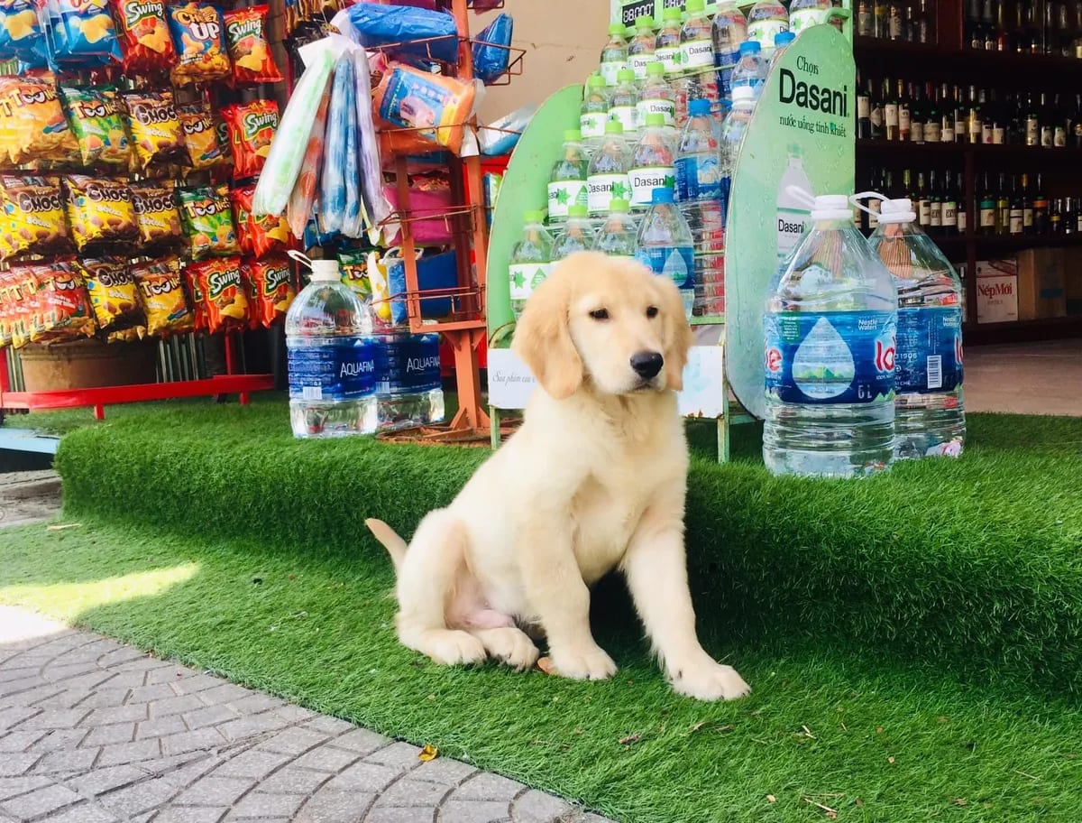 Handy Mini Mart