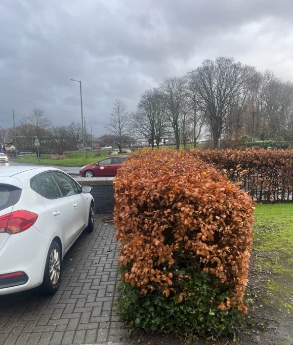 Grounds maintenance work 2