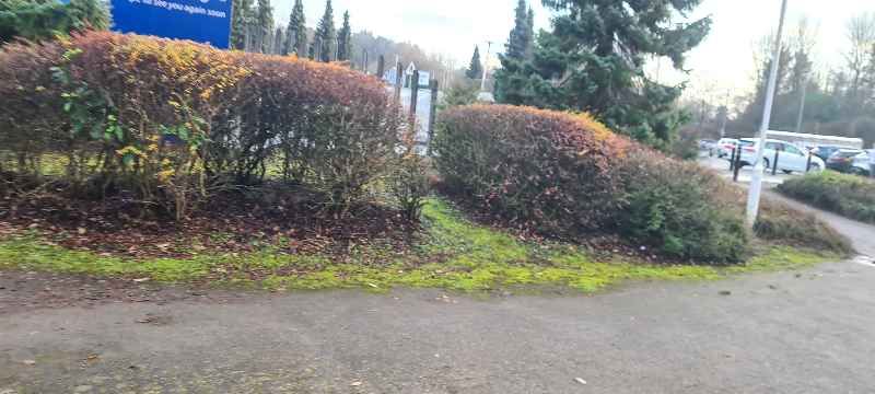 Property maintenance work 3