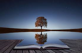Reflective